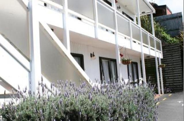 88 Wallace Court Motel Wellington Eksteriør billede