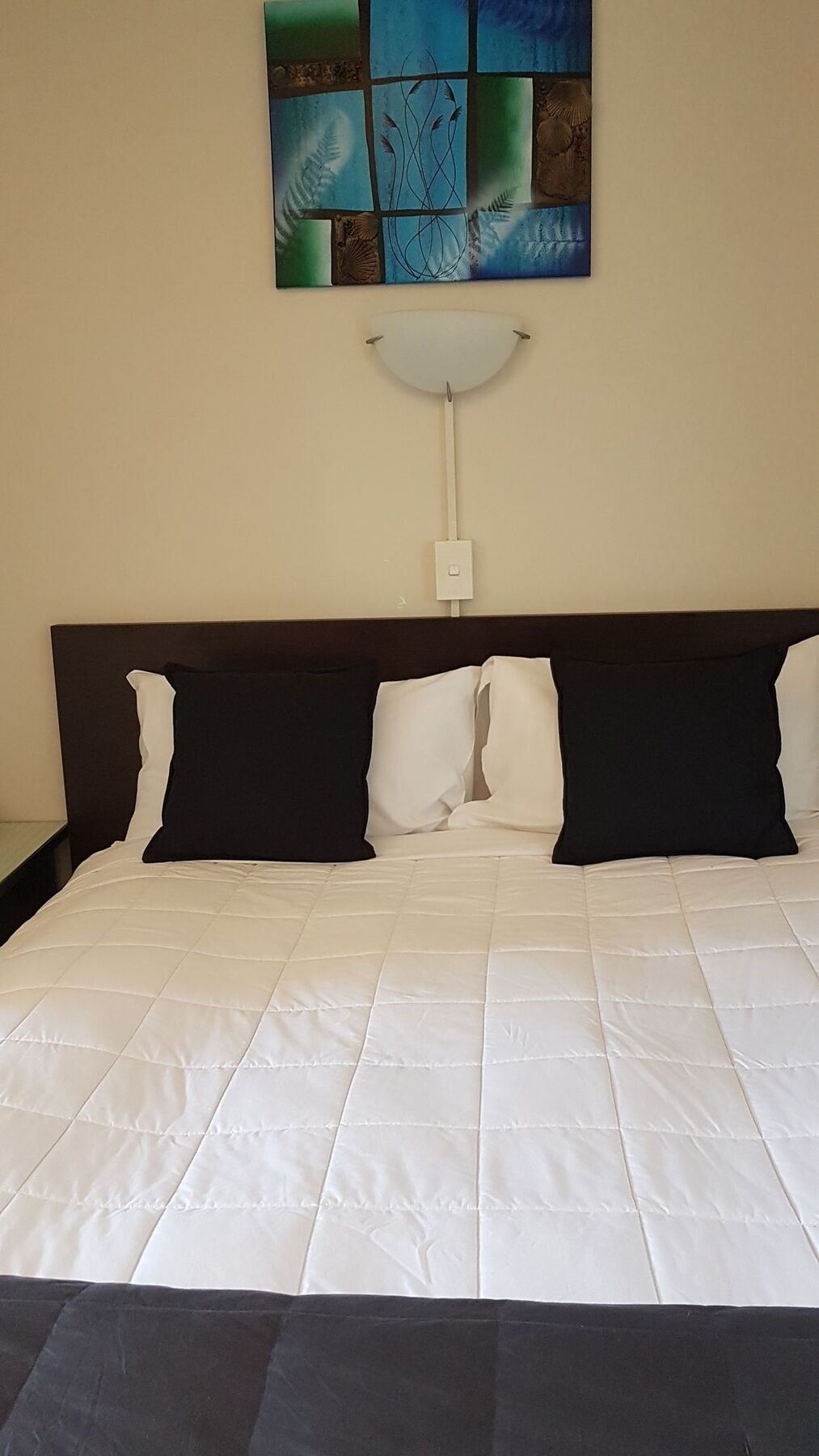 88 Wallace Court Motel Wellington Eksteriør billede